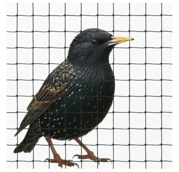 Siatka na ptaki 4x5 20g